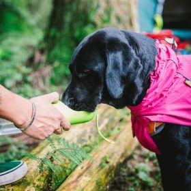 Dog Coats Small Waterproof,Warm Outfit Clothes Dog Jackets Small,Adjustable Drawstring Warm And Cozy Dog Sport Vest-(pink, size L)